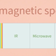 Humans and mice can only see a limited range within the electromagnetic spectrum, indicated here by the rainbow-like band. Other animals, including birds, can see ultraviolet (UV) light.